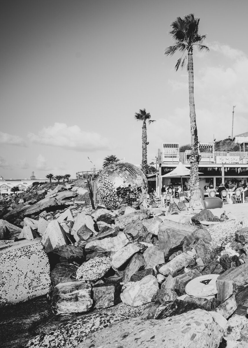 Black-and-white photo of a tall palm tree above a rocky shoreline
